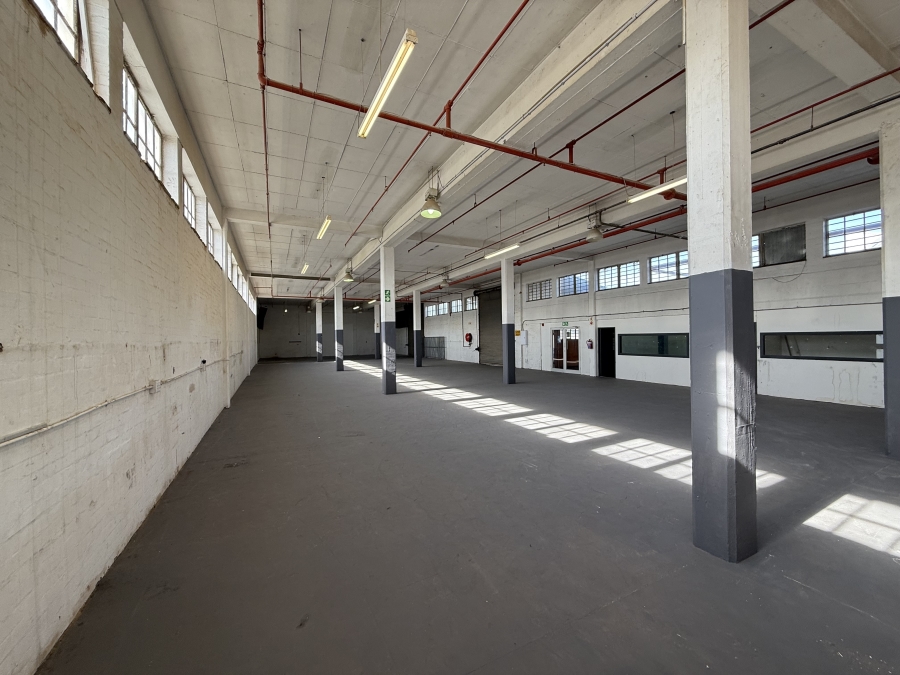 To Let commercial Property for Rent in Bellville South Western Cape